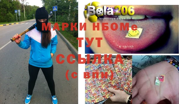 шишки Ладушкин